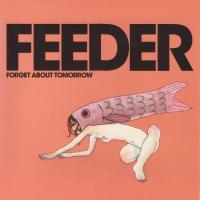 Artwork for Forget About Tomorrow by Feeder