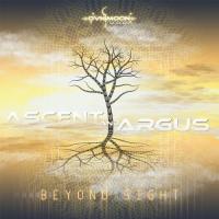 Artwork for Beyond Sight by Ascent