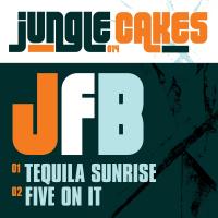 Artwork for Jungle Cakes, Vol. 14 by JFB