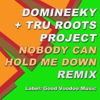 Artwork for Nobody Can Hold Me Down (Remix) by Domineeky