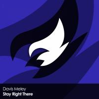 Artwork for Stay Right There by Davis Meley