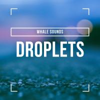 Artwork for Droplets by Whale Sounds