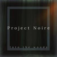 Artwork for Into The Woods by Project Noire