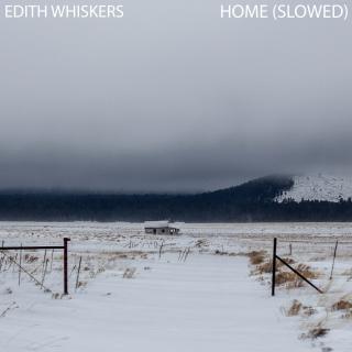 Artwork for Home (Slowed)