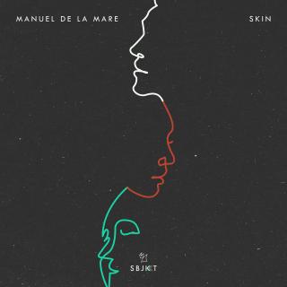 Artwork for Skin