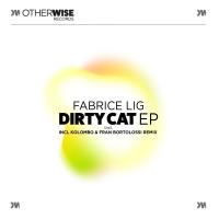 Artwork for Dirty Cat EP by Fabrice Lig