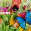 Artwork for Fantasy (Original Mix)