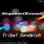 Artwork for Tribal Sandwich