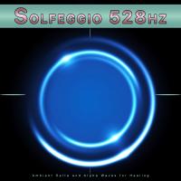 Artwork for Solfeggio 528hz: Ambient Delta and Alpha Waves for Healing by Brain Waves Therapy