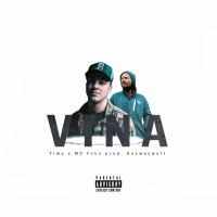 Artwork for Vina (feat. MC Fako) by Timo