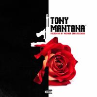 Artwork for Tony Mantana by Tony Mantana