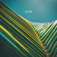 Artwork for June by The Foreign Exchange