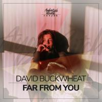 Artwork for Far From You (Extended Mix) by David Buckwheat