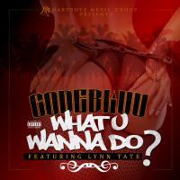 Artwork for What U Wanna Do? (feat. Lynn Tate) by Codebluu