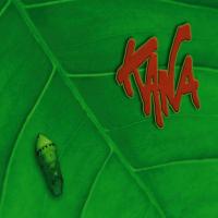 Artwork for Kana by Kana