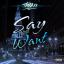 Artwork for Say What You Want