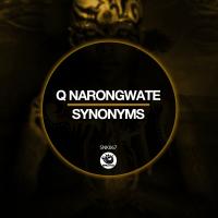 Artwork for Synonyms by Q​ NARONGWATE