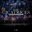 Artwork for Hay Cicatrices (En Vivo)