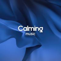 Artwork for Calming Music by Chill Out