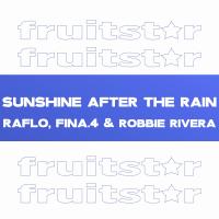 Artwork for Sunshine after the Rain by Raflo