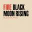 Artwork for Fire