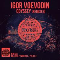 Artwork for Odyssey [Remixes 2014] by Igor Voevodin