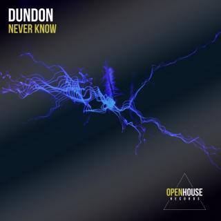 Artwork for Never Know (Original Mix)