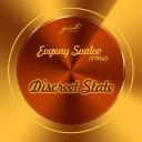Artwork for Discreet State (Max Lyazgin Remix Radio Edit)