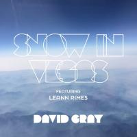 Artwork for Snow in Vegas by David Gray