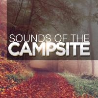 Artwork for Sounds of the Campsite by Nature Sounds For Sleep and Relaxation