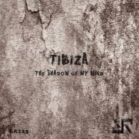 Artwork for The Shadow Of My Mind by Tibiza