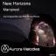 Artwork for New Horizons (Phil Dinner Remix)