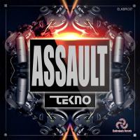 Artwork for Techno Assault by Various Artists