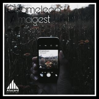 Artwork for Chameleon 