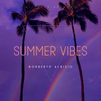 Artwork for Summer Vibes by Norberto Acrisio