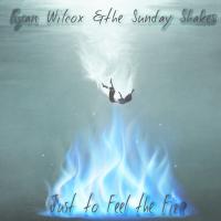 Artwork for Just To Feel The Fire by Ryan Wilcox
