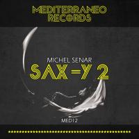 Artwork for Sax-Y 2 by Michel Senar