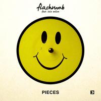 Artwork for Pieces (feat. Laila Walker) by Flashmob