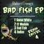 Artwork for Bad Fish (Original Mix)
