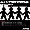 Artwork for Old Mate (Mechanic Slave Remix)