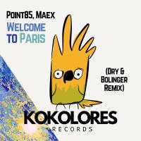 Artwork for Welcome To Paris (Dry & Bolinger Remix) by Maex