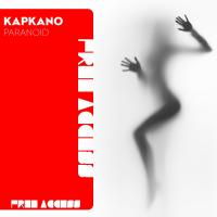 Artwork for Paranoid by Kapkano