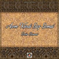 Artwork for Acem Kürdi Saz Semai by Ersin Ersavas