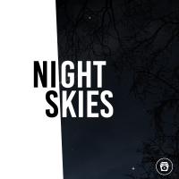 Artwork for Night Skies by Nature Sounds Nature Music