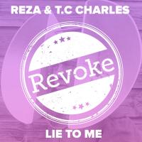 Artwork for Lie to Me by Reza