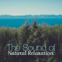 Artwork for The Sound of Natural Relaxation by Sounds of Nature Relaxation