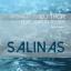 Artwork for Salinas (D.J. Thor Afro Remix)