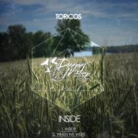 Artwork for Inside by Toricos