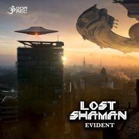 Artwork for Evident by Lost Shaman