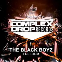 Artwork for Freedom by The Black Boyz